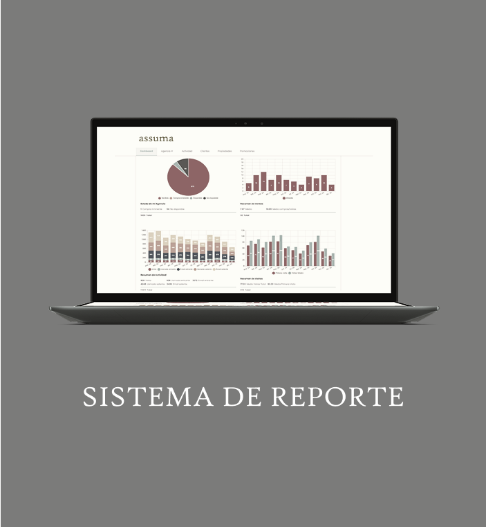 Sistema de reporte Assuma - Dashboard con estadísticas y gráficos de ventas