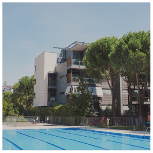 Pinnea - Majadahonda